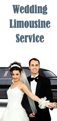 Burbank Limo wedding transportation